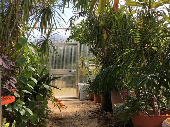Exaco | Riga XL 6 Greenhouse
