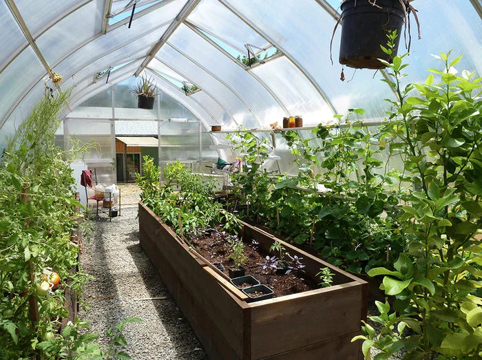 Exaco | Riga XL 6 Greenhouse