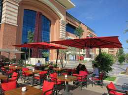 FIM P17 Cantilever Patio Umbrella