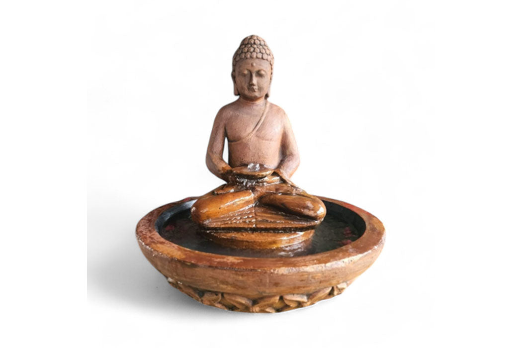 Exaco | Buddha Bowl